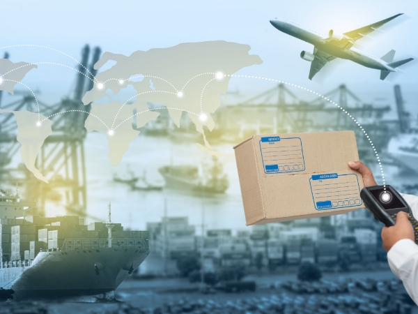 勝驊報關行-服務項目